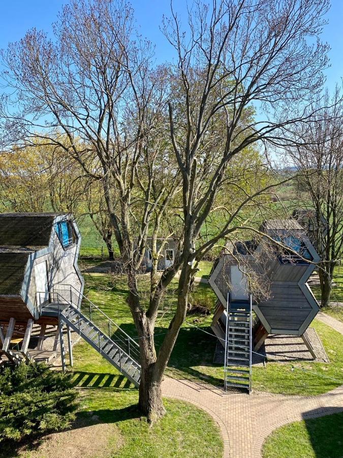 Grüne Wiek Wabenhausherberge Beckerwitz Gramkow Exterior foto